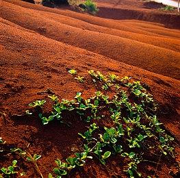 《真三国无双：起源》表现强劲 光荣日本股价反弹
